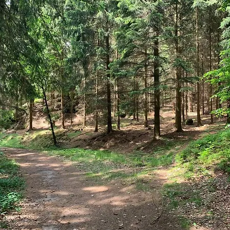 Wellness & Wirlpool-oase Am Wald - Waldferienhaus Dunja In Oybin *