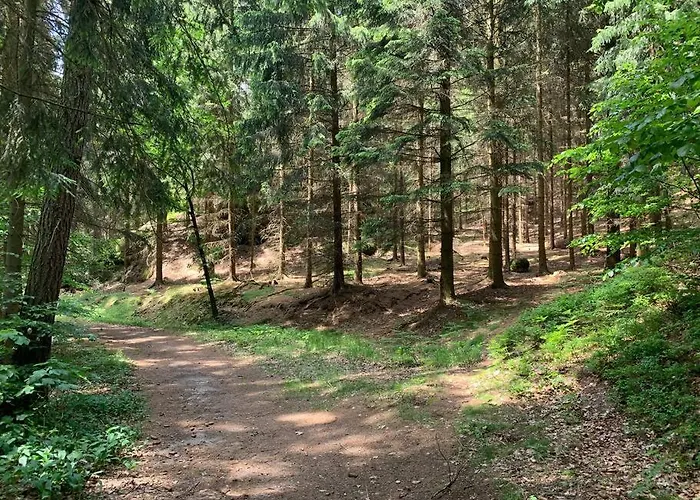 Wellness & Wirlpool-oase Am Wald - Waldferienhaus Dunja In Oybin *