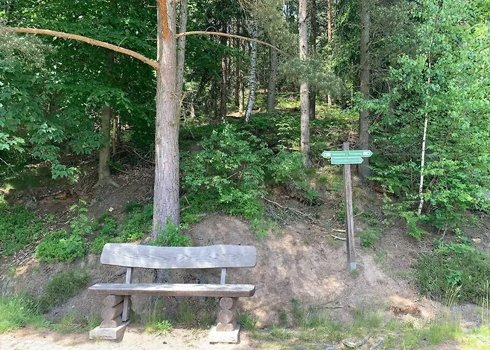 Wellness & Wirlpool-oase Am Wald - Waldferienhaus Dunja In Oybin بيت للعطل Hain (Saxony)