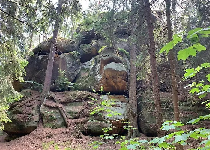 بيت للعطل Wellness & Wirlpool-oase Am Wald - Waldferienhaus Dunja In Oybin