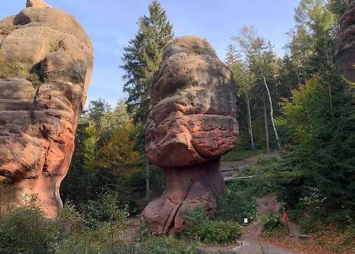 Wellness & Wirlpool-oase Am Wald - Waldferienhaus Dunja In Oybin بيت للعطل